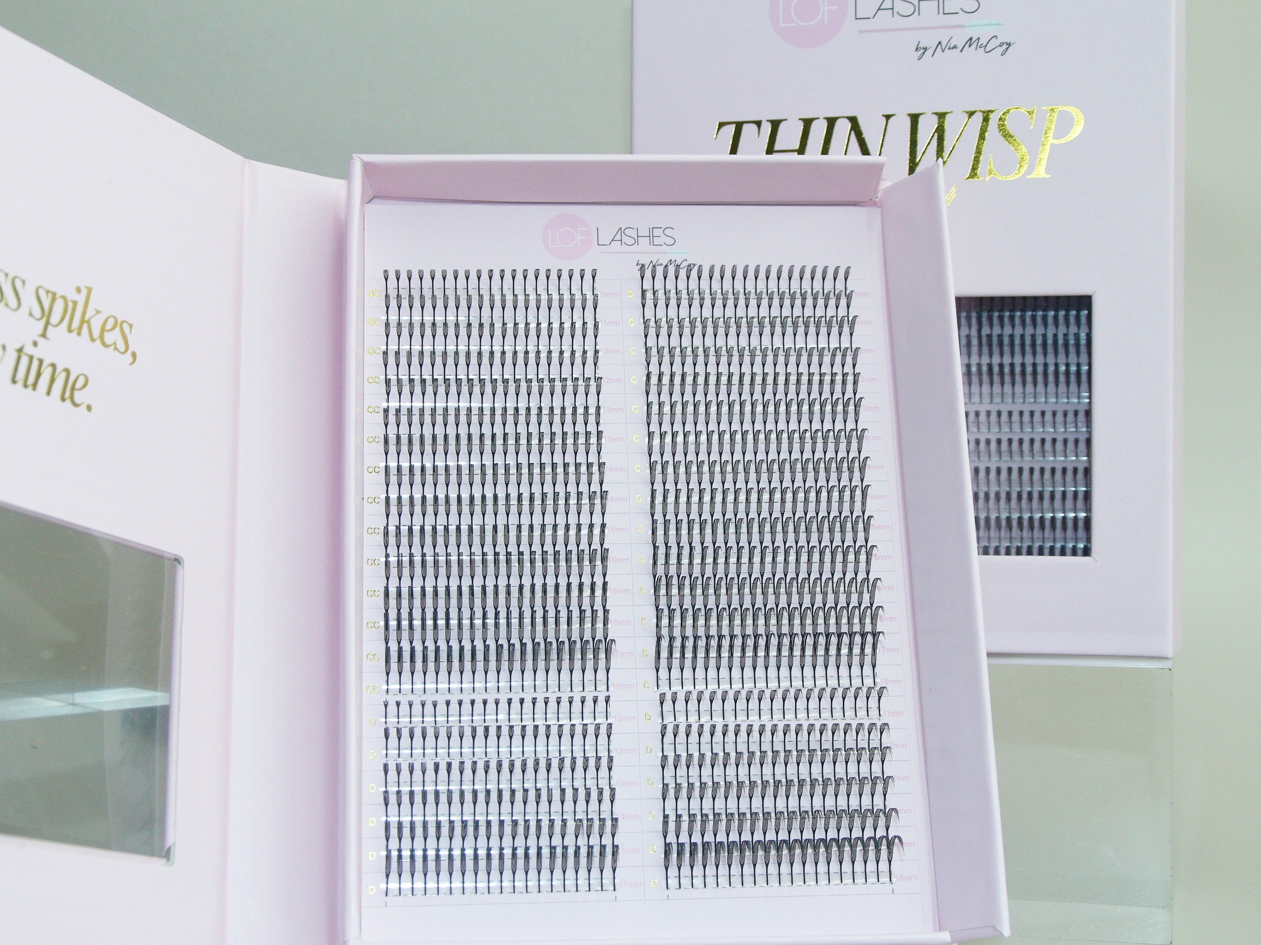 ThinWisp – Lashes on Fleek, Inc.