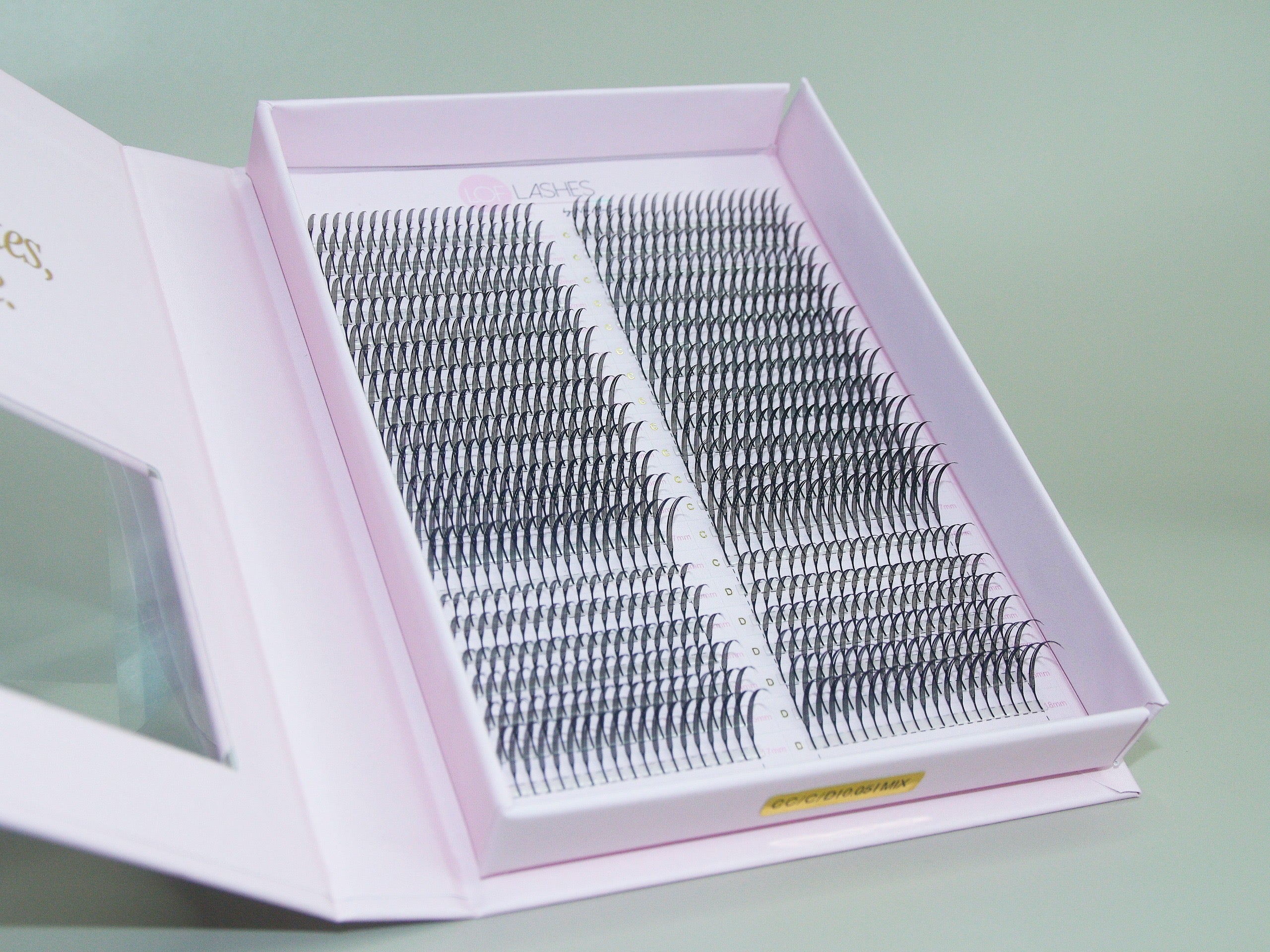 ThinWisp – Lashes on Fleek, Inc.