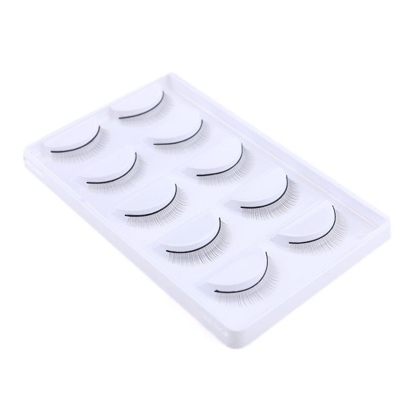 Mannequin Head and Practice Lash Strips